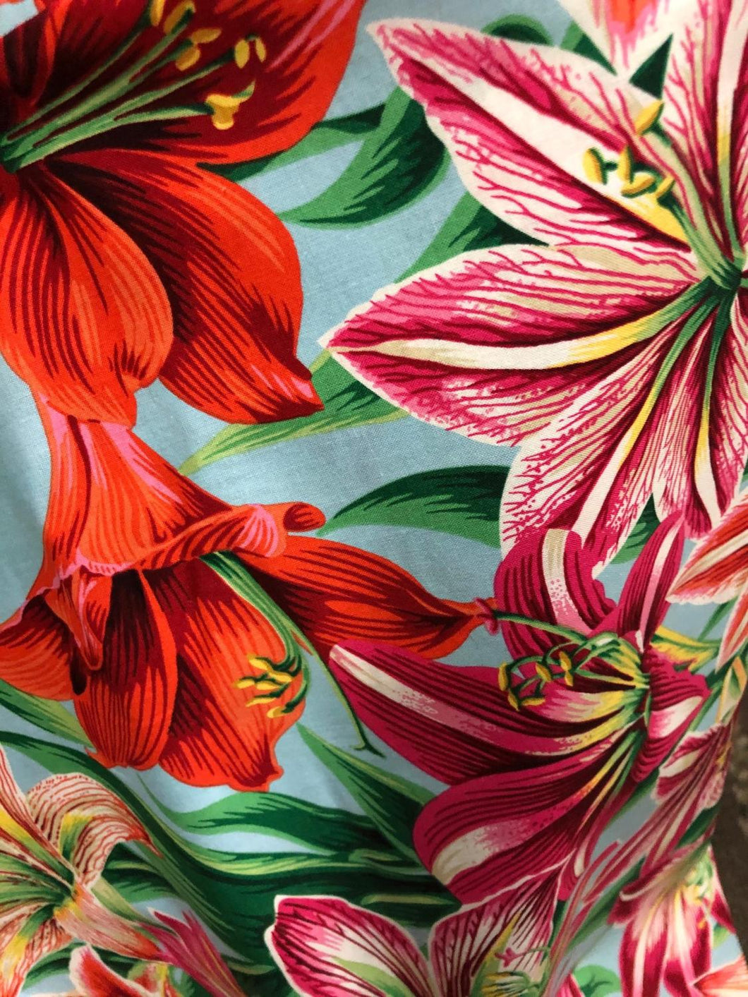 Amaryllis Natural