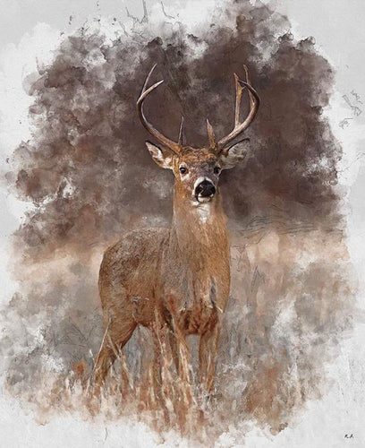 Natures Window Deer